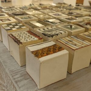 WhatsApp Image 2025-06-19 at 5.41.30 PM (3) Hennie Meyer Ceramic Blocks
