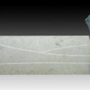 desert tree Desert tree