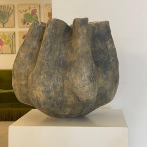 WhatsApp Image 2025-09-13 at 5.55.54 PM The Rock