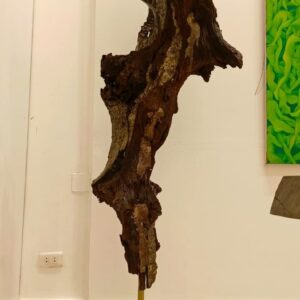 WhatsApp Image 2025-10-16 at 6.23.40 PM Pax